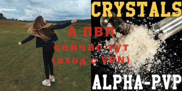 a pvp Абаза
