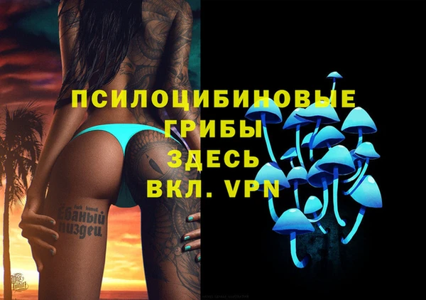 a pvp Абаза