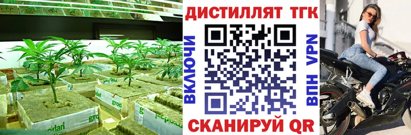 магазин  наркотиков  kraken   ТГК THC oil  Киренск 